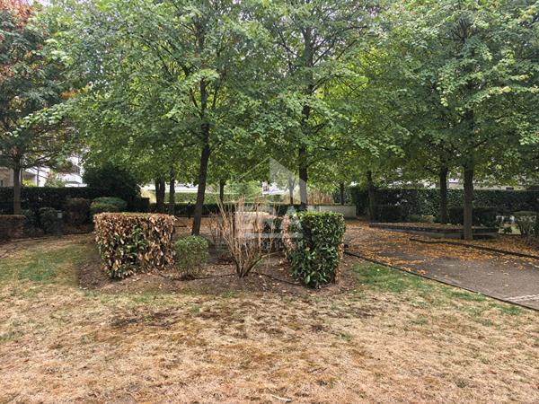 Location non meublée - Appartement Guyancourt T1 bis 29 m2