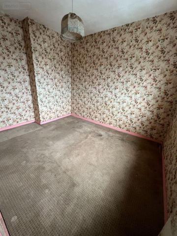 Maison à vendre à Faches-Thumesnil dans le Nord (59155), ref : 59196-48