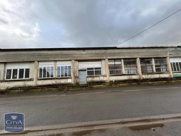 Local professionnel à vendre 1360m²