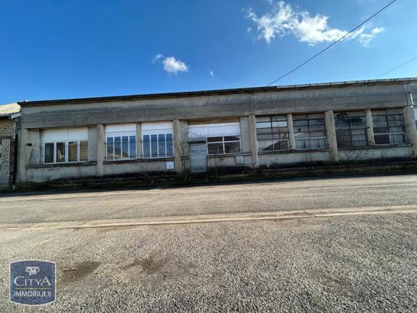 Local professionnel à vendre 1360m²