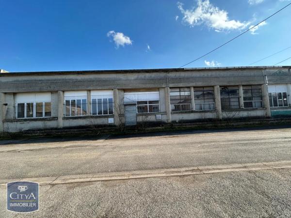 Local professionnel à vendre 1360m²