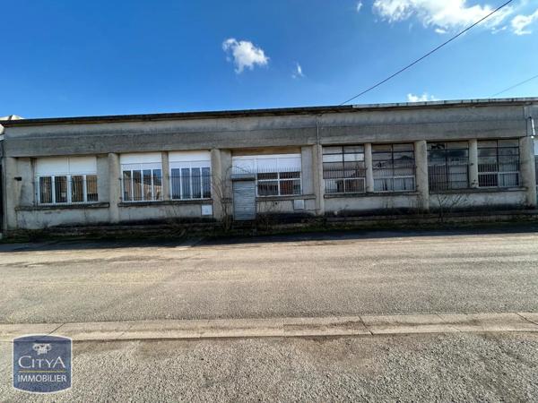 Local professionnel à vendre 1360m²