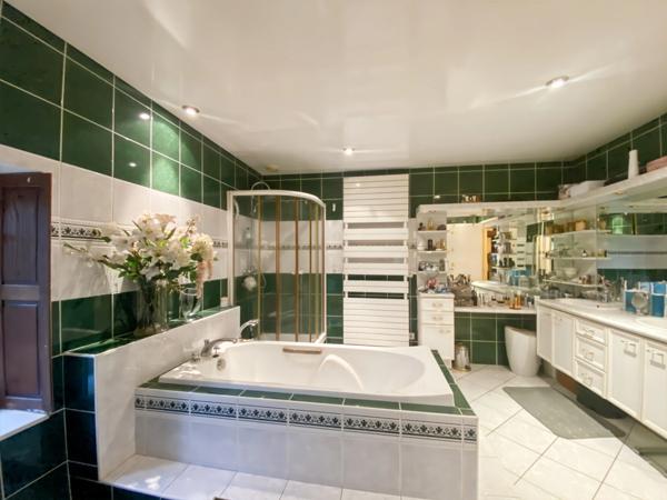 Dpt Vienne (86), à vendre à Thuré, Maison de Maître 16 pièces 670m2-35720 m2