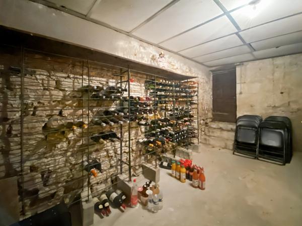 Dpt Vienne (86), à vendre à Thuré, Maison de Maître 16 pièces 670m2-35720 m2