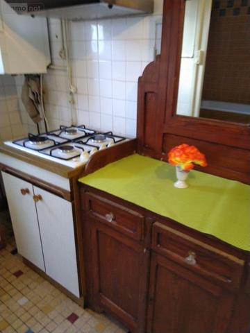 Maison à vendre à Saint-Genou dans l'Indre (36500), ref : 1049786