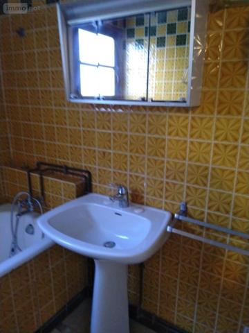 Maison à vendre à Saint-Genou dans l'Indre (36500), ref : 1049786