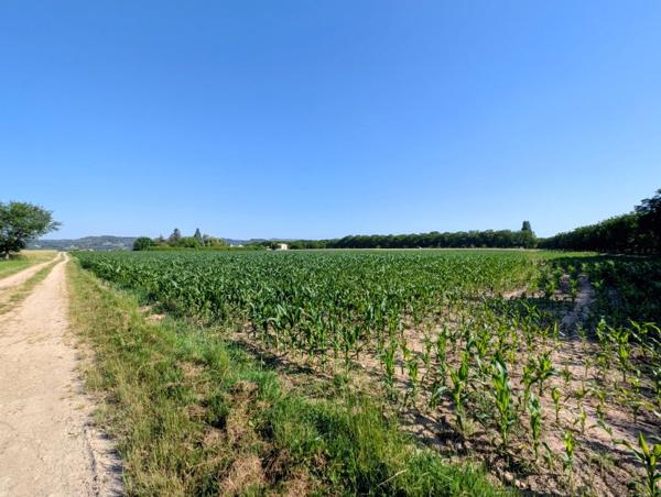 Vente / Terrain agricole à Châtillon-Saint-Jean (26750)