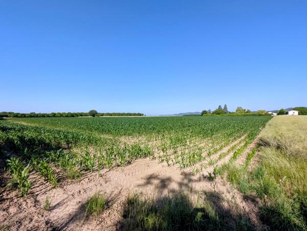 Vente / Terrain agricole à Châtillon-Saint-Jean (26750)