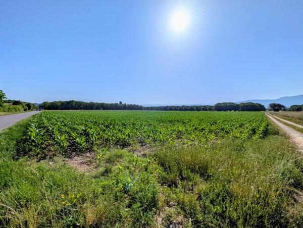Vente / Terrain agricole à Châtillon-Saint-Jean (26750)