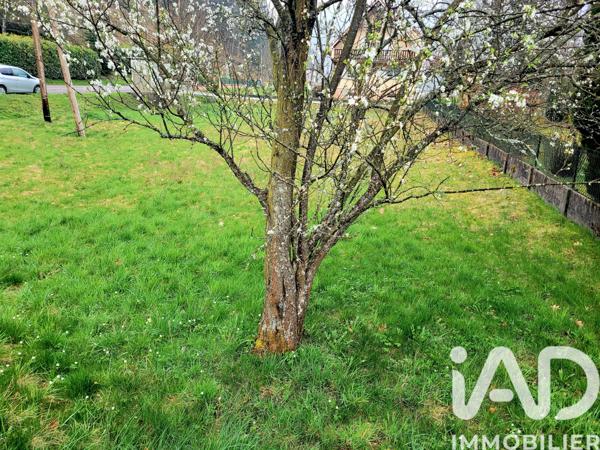 Terrain à vendre 717 m² Storckensohn