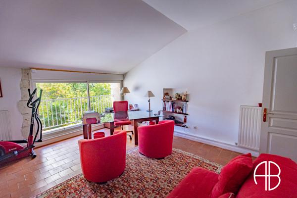 Magnifique Gasconne sur un parc clôturé de 1 hectare