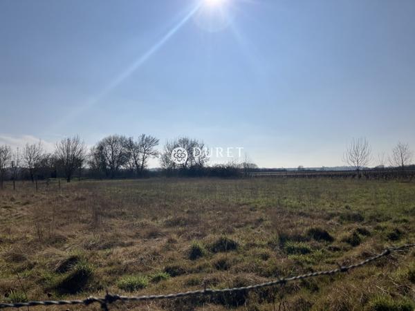 Terrain constructible sur OREE-D'ANJOU.