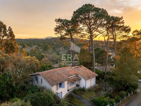 Vue exceptionnelle sur la forêt et la Dune du Pilat