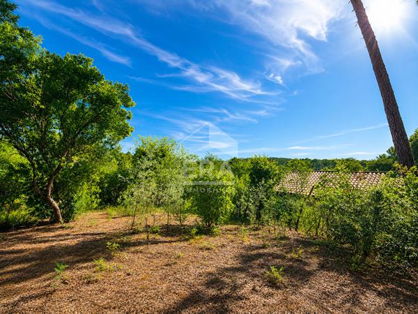 Vue exceptionnelle sur la forêt et la Dune du Pilat