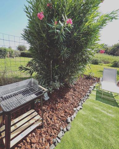 Appartement renové T1 bis situé en bord de mer