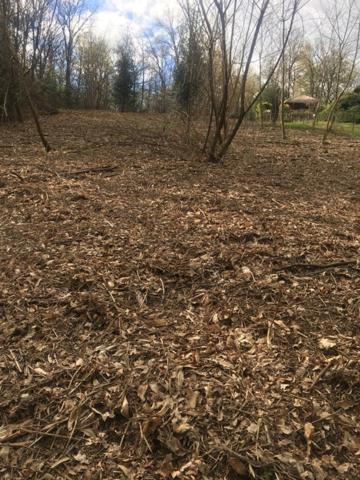 Terrain à vendre - VENARSAL (19)