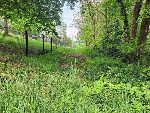 Terrain à vendre - VENARSAL (19)