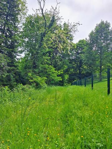 Terrain à vendre - VENARSAL (19)