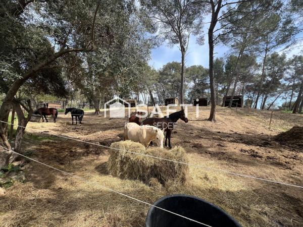 Haras , 12 héctares,6 parcelles