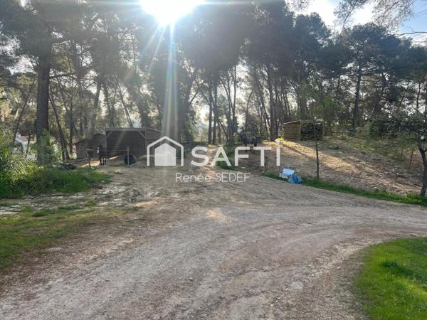 Haras , 12 héctares,6 parcelles