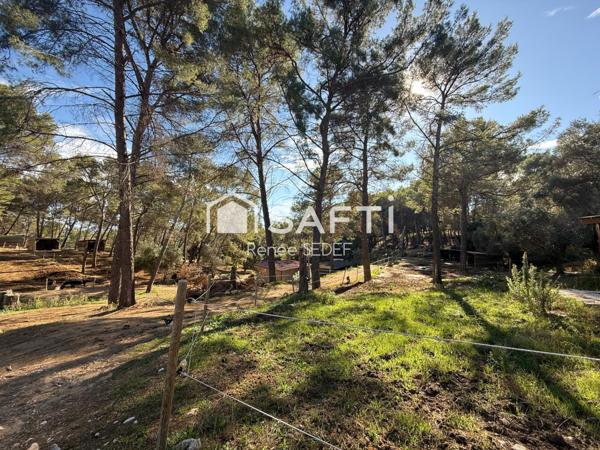 Haras , 12 héctares,6 parcelles