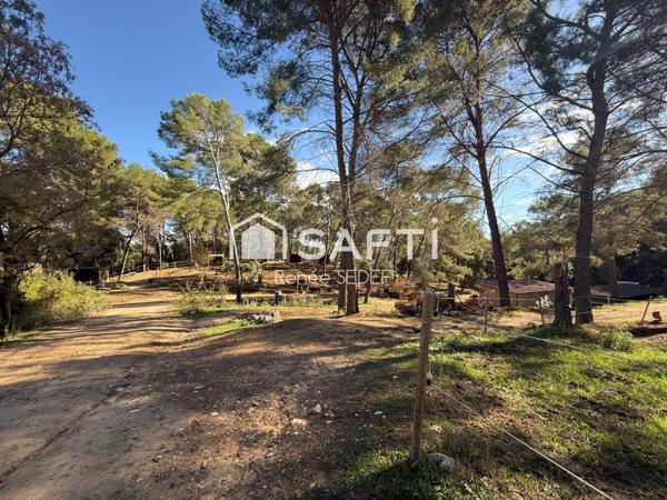 Haras , 12 héctares,6 parcelles