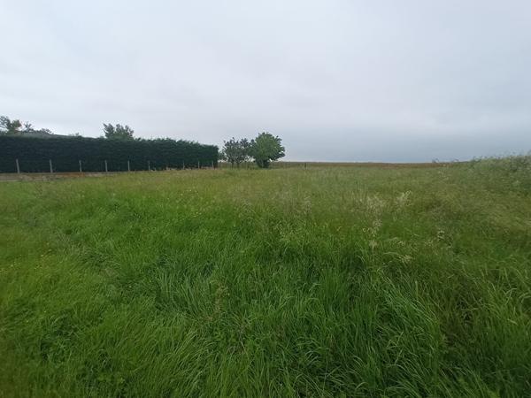 Terrain 1000 m2