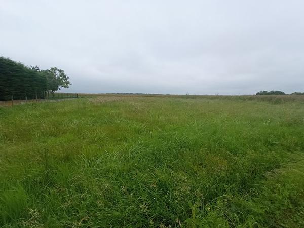 Terrain 1000 m2