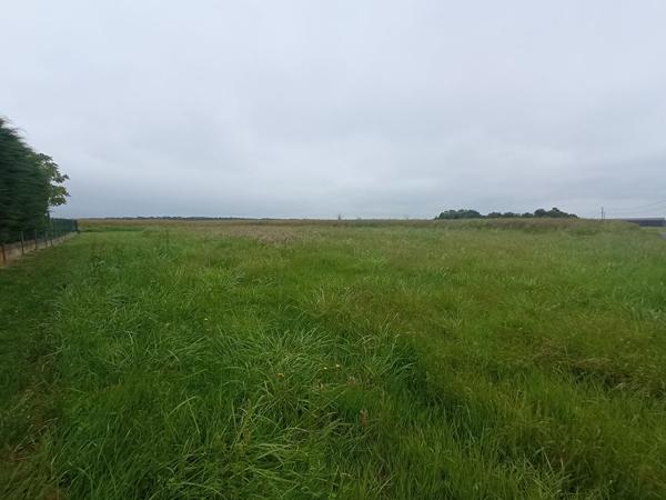 Terrain 1000 m2