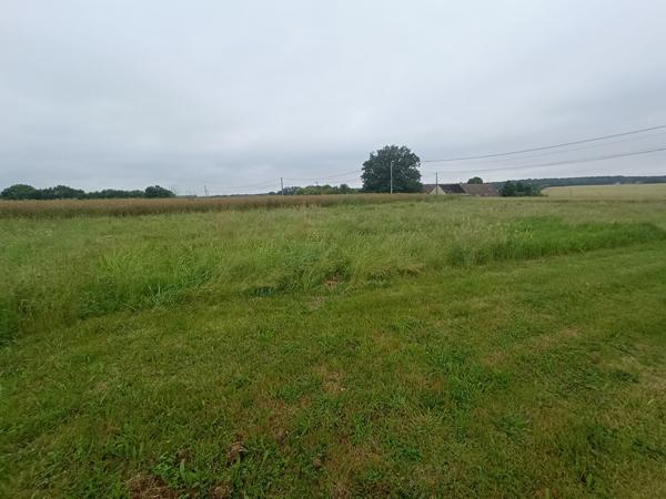 Terrain 1000 m2