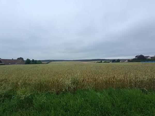 Terrain 1000 m2