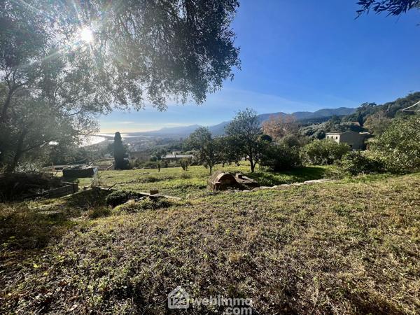 Terrain constructible 1865 m² à Bastia 20200
