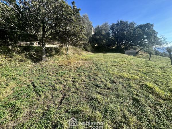 Terrain constructible 1865 m² à Bastia 20200