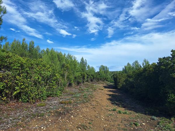 A VENDRE Terrain de loisirs Saint-Gervasy