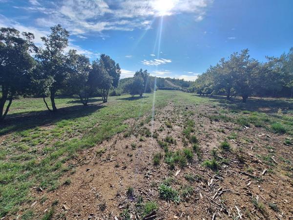 A VENDRE Terrain de loisirs Saint-Gervasy