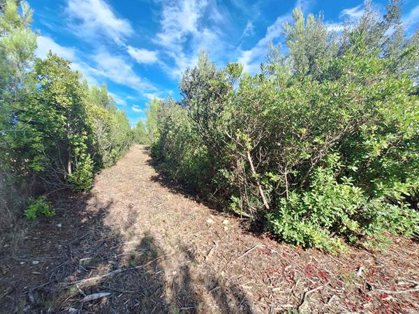 A VENDRE Terrain de loisirs Saint-Gervasy