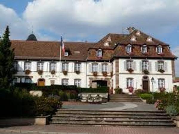 Dpt Bas-Rhin (67), à louer à Marlenheim : Espace Bureaux (187 m2) - Bel emplacement convivial - Parking