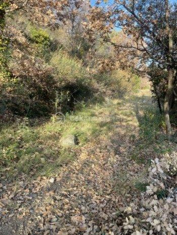 Terrain de loisirs de 4 150 m²