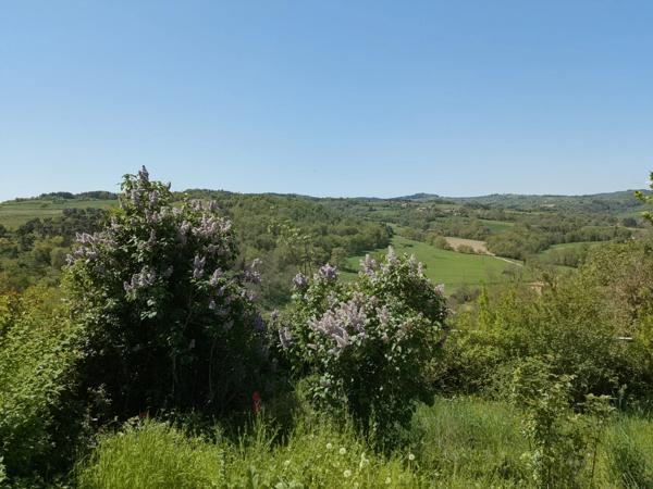 MAISON A VENDRE SAINT GERMAIN LAVAL - 141 m² - 5 CHAMBRES POSSIBLES - CAVE - JARDIN