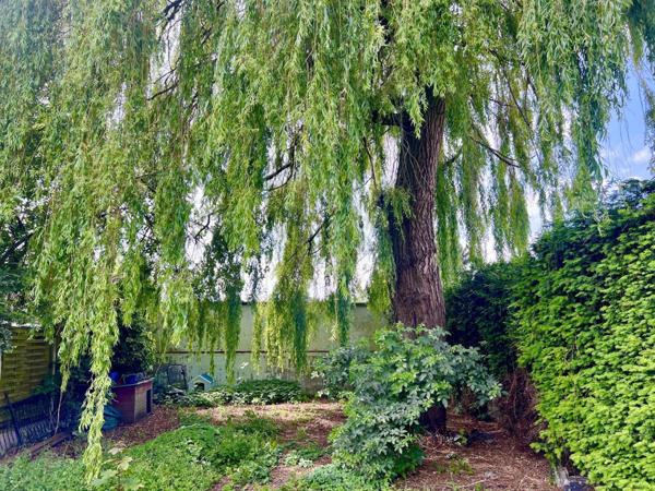 Maison à TOURCOING (59200)