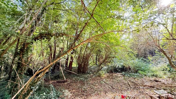 NOAILLES PROCHE Maison 7 pièces, 4 chambres, salle de jeux, garage, cave, grand terrain