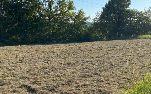 Terrain à vendre    Mouguerre