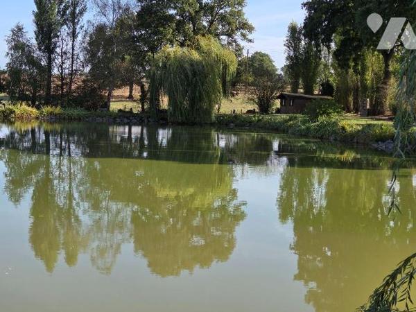 MARTIGNE SUR MAYENNE- Etang poissonneux sur terrain très bien entretenu.

-	Etang d'environ 3...