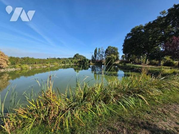MARTIGNE SUR MAYENNE- Etang poissonneux sur terrain très bien entretenu.

-	Etang d'environ 3...