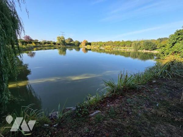 MARTIGNE SUR MAYENNE- Etang poissonneux sur terrain très bien entretenu.

-	Etang d'environ 3...