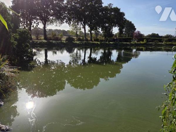 MARTIGNE SUR MAYENNE- Etang poissonneux sur terrain très bien entretenu.

-	Etang d'environ 3...