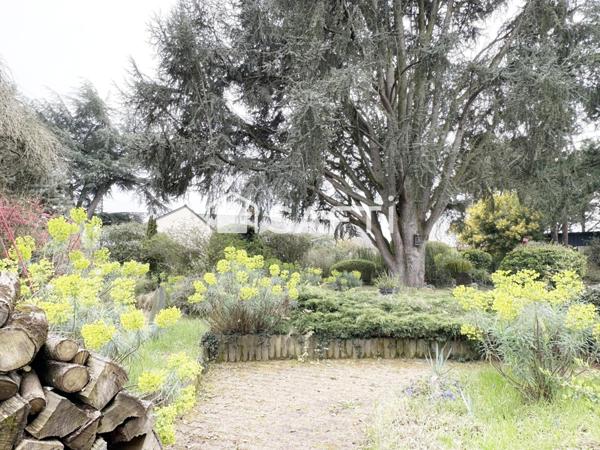 Belle Longère - Beaufort - 26 kms d'Angers - 30 kms de Saumur