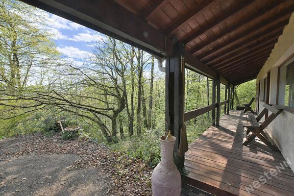 Charmante maison au coeur d'un environnement bucolique !