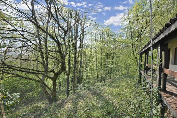 Charmante maison au coeur d'un environnement bucolique !