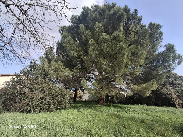 Maison L Isle Jourdain 162 m² sur 2600 m² de terrain